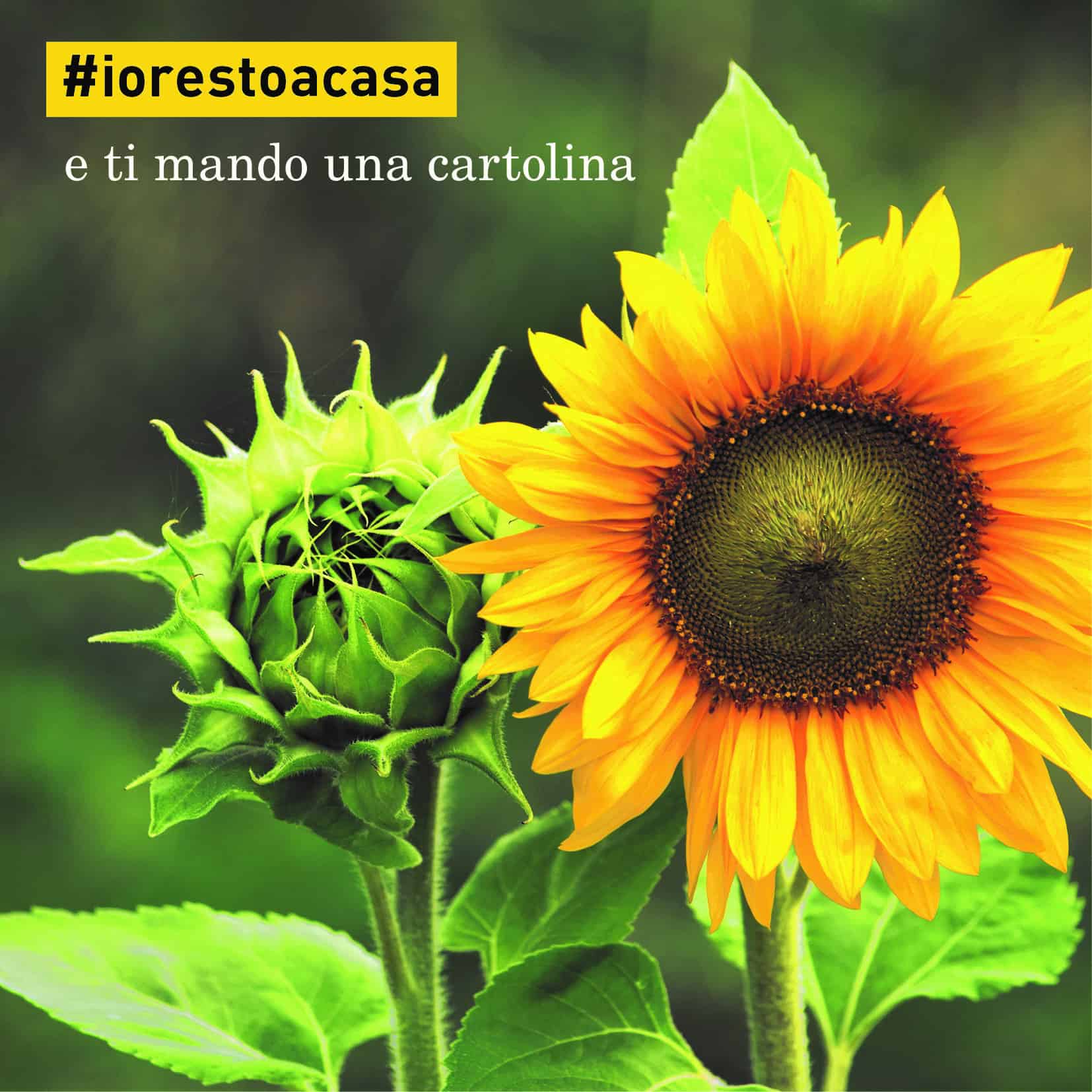 Post FB – la cartolina che avvicina Post FB – la cartolina che avvicina