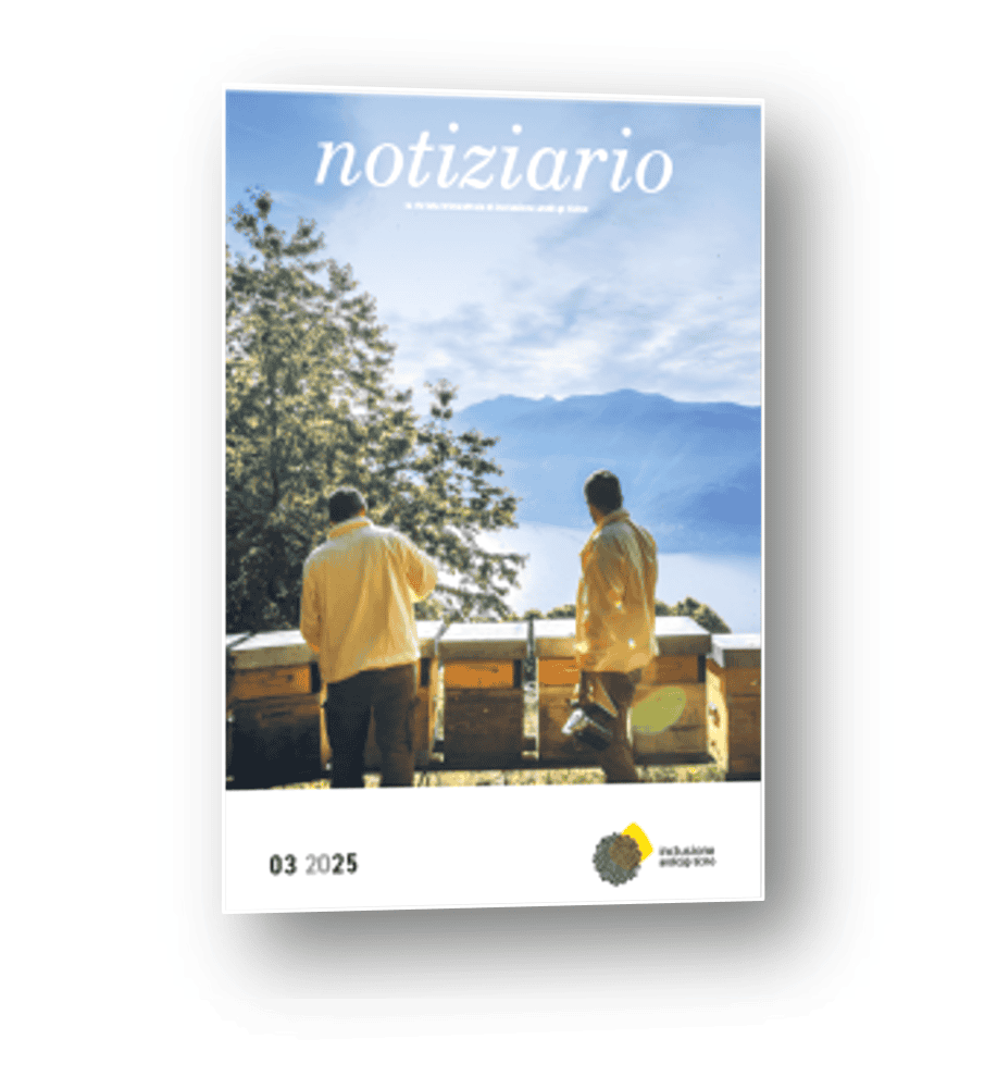 notiziario notiziario